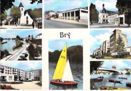 ** Lot De 3 Cartes ** 94 - BRY : Multivues - Parc - Hopital Saint Camille - CPSM Grand Format - Val De Marne - Bry Sur Marne