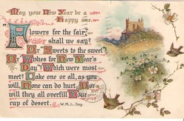 Carte Postale Ancienne De Vœux/May Your New  Year Be A Happy One/Nister London/OMAHA/1907       CVE165 - Neujahr