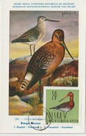 Pologne Carte Maximum Oiseaux 1964 Barge 1349 - Cartes Maximum