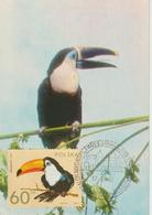 Pologne Carte Maximum Oiseaux 1972 Toucan 2009 - Maximum Cards
