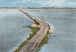 NOIRMOUTIER  - Passage Du Gois  - CPM  Dentelée    -  Rare - L'Hermenault