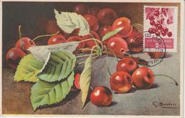 Bulgarie Carte Maximum Fruits 1956 Cerises 851 - Lettres & Documents