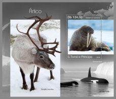 SAO TOME 2019 MNH Arctic Animals Tiere Am Nordpol Animaux D La Arctique S/S - IMPERFORATED - DH1951 - Arctic Tierwelt