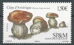 SPM 2019 - Le Cèpe D'Amérique - Unused Stamps