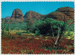 Australien, Northern Territory, Ayers Rock - Ohne Zuordnung