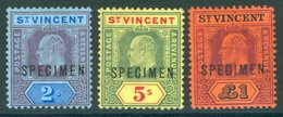 1904-11 MCCA SPECIMEN Set, Large Part O.g., SG.91s/93s. Cat. £190. (3) - Sonstige & Ohne Zuordnung