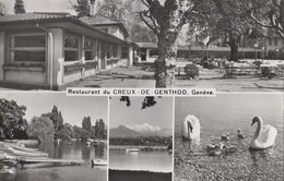 Suisse - Restaurant Du Creux-de-Genthod - 1966 - Genthod