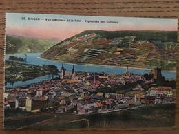 CPA, BINGEN, Vue Générale Et Le Rhin, Vignobles Des Côteaux,non écrite, ALLEMAGNE - Bingen