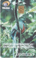 TARJETA DE GUATEMALA DE UN QUETZAL (BIRD-PAJARO) - Guatemala