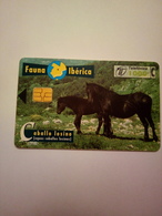 Télécarte D' Espagne : Chevaux - Horses