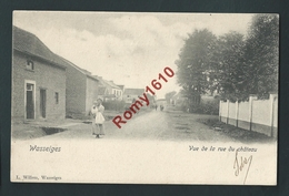 Wasseiges.  La Rue Du Château Animée. Très Ancienne Carte.   2 Scans. - Wasseiges