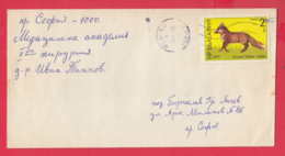 250053 / Cover 1977 - 2 St.  - The Red Fox (Vulpes Vulpes)  Animal  ,  Bulgaria Bulgarie - Covers & Documents