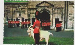 Québec Cérémonie De La Relève De La Vieille Garde Par La Nouvelle Garde àla Citadelle Royal 22e Regiment - Québec - La Citadelle