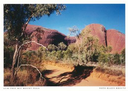 Australien AK Mount Olga Gum - Tree - Uluru & The Olgas