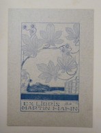 Ex-libris Illustré Vers 1900 - MARTIN HAHN - Ex-libris