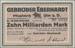 Deutschland - Notgeld - Württemberg: Ulm, Gebrüder Eberhardt, Pflugfabrik, 1 Mio. Mark, 25.8.1923, S - Lokale Ausgaben