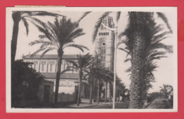 CP- EGYPTE - PORT-SAID - Cathédrale Catholique  Marie-Reine-du-Monde SUP** 2 SCANS - Assouan