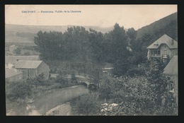 GRUPONT  PANORAMA  VALLEE DE LA  LHOMME - Tellin