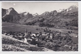 Lessoc, Autour De L'église. Narcisses. Carte-photo - Lessoc