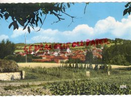 46 -SALVIAC - VUE GENERALE  - QUERCY  LOT - Salviac