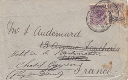 COVER. NEW-ZEALAND. 5 JUY 1899. WILLINGTON TO FRANCE - Cartas & Documentos