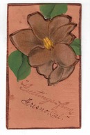 FRESNO, California, USA, Add-on Leather Flower?, Old LEATHER Postcard - Fresno