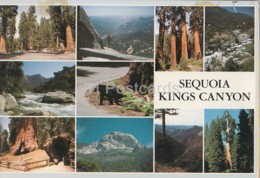 Sequoia And Kings Canyon National Parks - 1988 - USA - Used - Kings Canyon