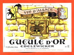 étiquette De Vin D'alsace Gueule D'or Edelzwicker Cave à Kayserberg - 75 Cl - Temple Maya - Vin De Pays D'Oc