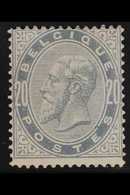 1883 20c Blue-grey King (COB 39, SG 64, Michel 36), Never Hinged Mint, Lightly Toned Gum, Centred To Top, Good Colour. F - Sonstige & Ohne Zuordnung