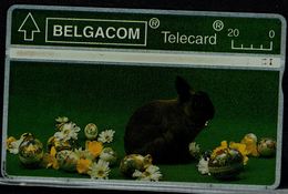 BELGIUM 1998 PHONECARD RABBIT USED VF!! - Lapins