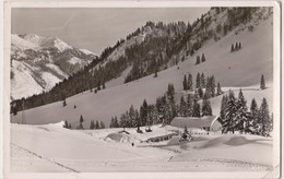 Firstalm Mit Dreitannen Abfahrt - Schliersee