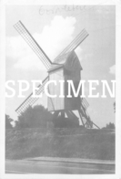 De Meesters  Molen - Oostvleteren Repro - Vleteren