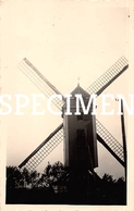 Foto Molen -  Houtave 6,5 X 10,5 Cm - Zuienkerke