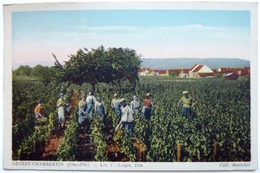 LES VENDANGES 1934 - GEVREY-CHAMBERTIN - Gevrey Chambertin