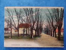 Griesheim Avenue Galliéni Carte Couleur  Hesse Allemagne - Griesheim