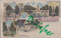 LITHOGRAPHIE: Gruss Vom SCHILLERHAIN Bei Kirchheimbolanden, Pfalz, Um 1901, Restaurant, Turm, Denkmal, Pavillon - Kirchheimbolanden