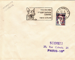 REUNION  Exposition Canine  SAINT DENIS RP  2 Octobre 1966   Flamme - Covers & Documents