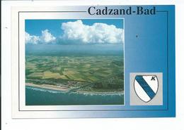 Carte Postale De Cadzand-Bas   Paysage - Cadzand