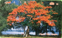 MICRONESIE  -  Carte " Tamura " - Flame Tree Saipan " Mtc 10 - Micronésie
