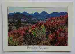 FLINDERS RANGES / South Australia - Moralana Scenic Drive  - Vg - Flinders Ranges