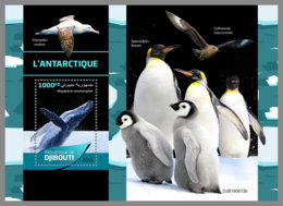 DJIBOUTI 2019 MNH Antarctic Animals Tiere Am Südpol Animaux De Antarctique S/S - OFFICIAL ISSUE - DH2005 - Antarktischen Tierwelt