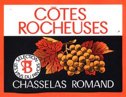 étiquette De Vin Suisse Chasselas Romand Cotes Rocheuses Vins Du Pavois - 75 Cl - Vin De Pays D'Oc