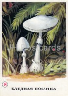 Death Cap - Amanita Phalloides - Mushrooms - Illustration - 1971 - Russia USSR - Unused - Paddestoelen