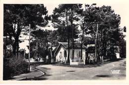 44 - THARON Avenue Dans Les Pins - CPSM Photo Village ( 4.650 H ) Dentelée Format CPA 1950 - Loire Atlantique - Tharon-Plage