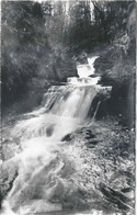 Twannbachschlucht / Gorges De Douanne             Ca. 1950 - Douanne-Daucher