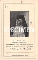 E.D.M. Alena - Lemahieu Magdalena - Beernem - Beernem