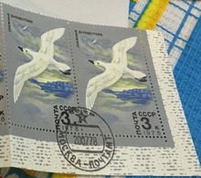 USSR Russia 1978 Pair Arctic Fauna Animals Bird Birds Petrel North Pole Wildlife Nature Stamps CTO Michel 4743 - Arctic Tierwelt