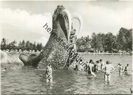 Großschönau - Wasserrutsche Walross - Waldstrandbad - Foto-AK Grossformat - Verlag Bruno Scholz Ebersbach - Grossschönau (Sachsen)