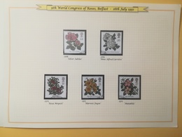 PAGINA PAGE ALBUM GRAN BRETAGNA GREAT BRITAIN 1991 ROSE ROSES FIORI FLOWERS DESCRIZIONE PAGES WITH DESCRIPTION - Collections