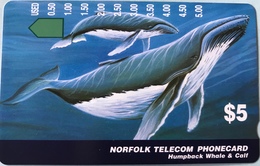 ILE NORFOLK  -  Phonecard  -  " Tamura " -  Humpback Whale § Calf  -  $5 - Norfolk Eiland